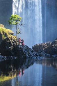 waterfall, forest, highlands-7478709.jpg